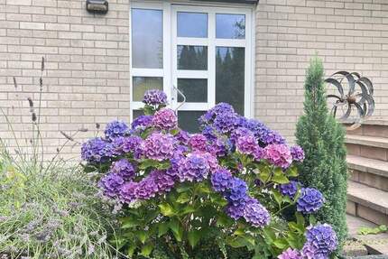 Haus Odenthal Blecher - 5 Zimmer, 121 m&sup2;, 390.000&euro; | Angebot:25423855