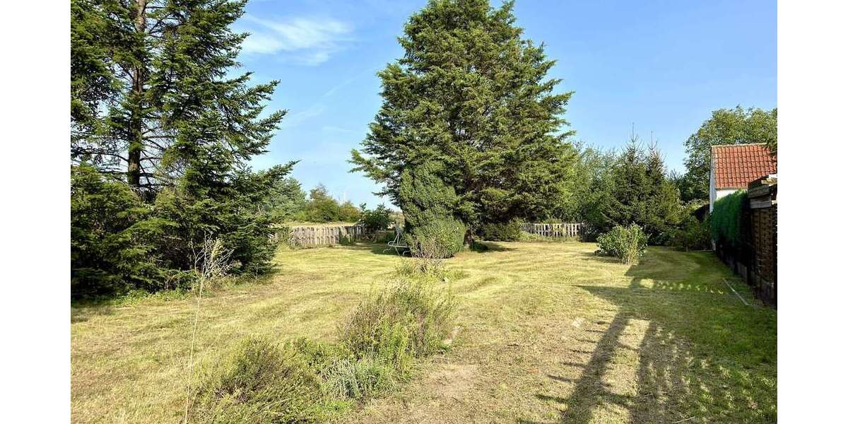 Einfamilienhaus im Grünen - bis zu 50% BAFA förderfähig inkl. vollumfänglichem Sanierungsfahrplan! - Einfamilienhaus Zeithain | Angebot:26533758
