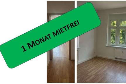 Wohnung Zwickau Niederplanitz - 1 Zimmer, 36 m&sup2;, 210&euro; | Angebot:25043702