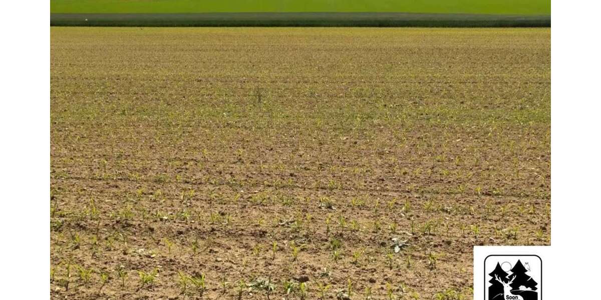 Grundstück Schmidthachenbach - 110.000&euro; | Angebot:26907501