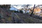 Grundstück Zweibrücken - 40.000&euro; | Angebot:26127186