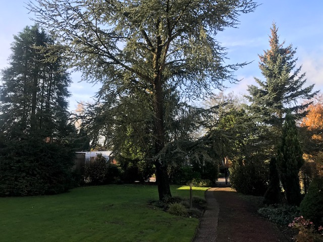 Abrissgrundstück in exklusiver und sehr schöner Lage von Münster- St. Mauritz - Grundstück Münster / Ost Ost | Angebot:24794059