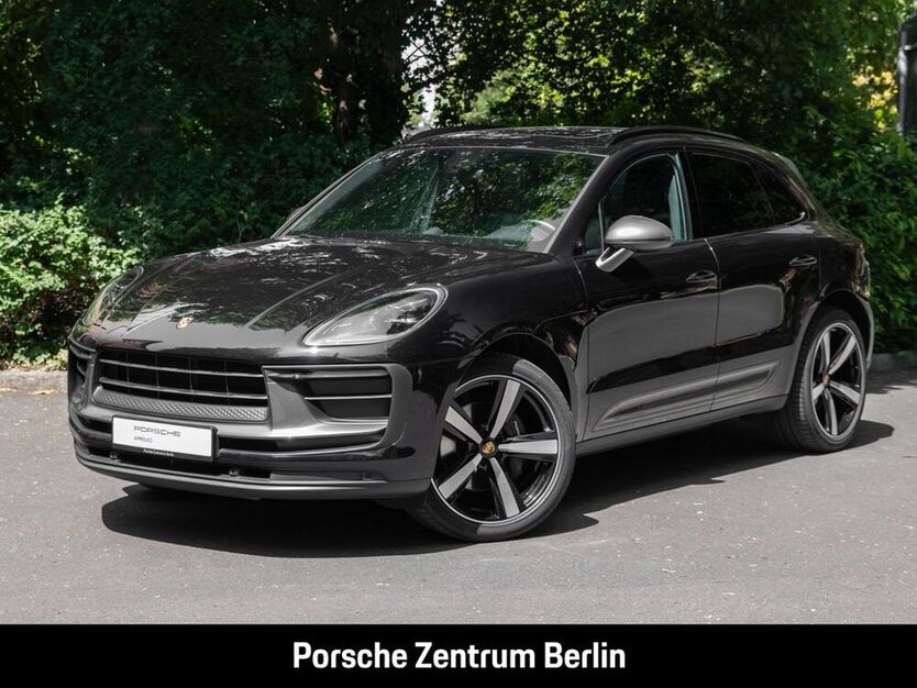 Macan
