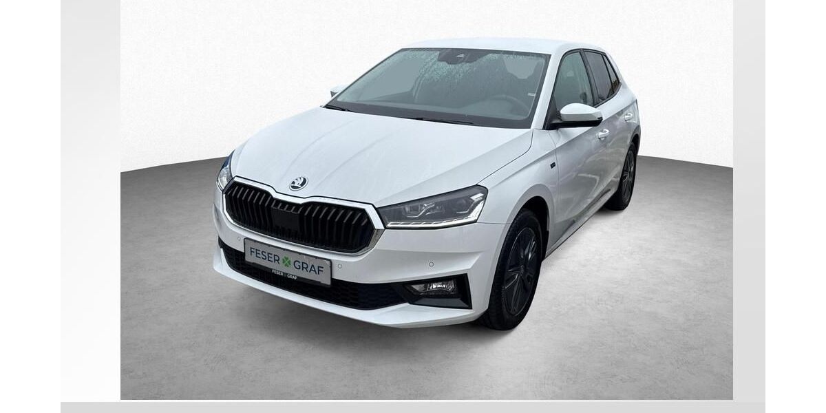 Skoda Fabia 2.900 km 18.980 &euro; Roth 91154