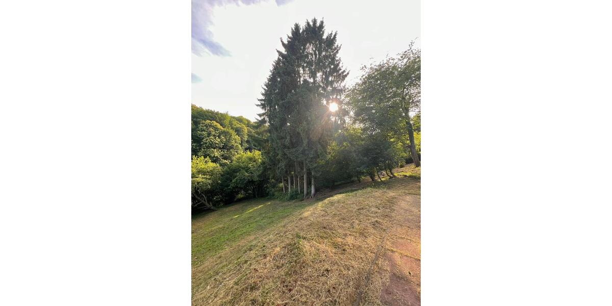 Einfamilienhaus Bad Soden am Taunus - 4 Zimmer, 90 m&sup2;, 800&euro; | Angebot:25337684