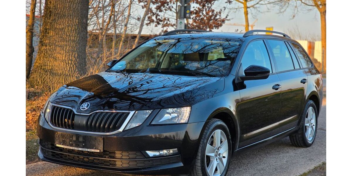 Skoda Octavia 224.300 km 11.800 &euro; Schneverdingen 29640