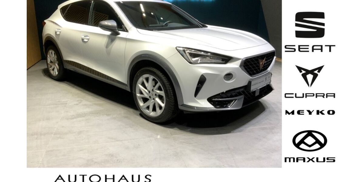 Cupra Formentor 93.800 km 22.950 &euro; Langwedel 27299