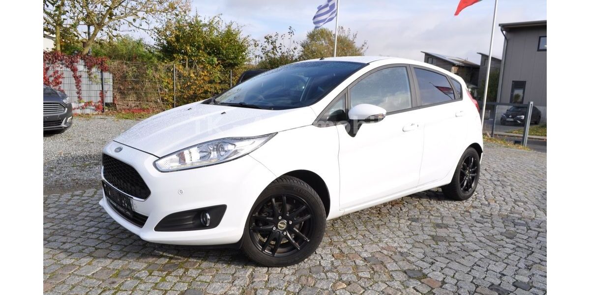 Ford Fiesta 79.000 km 8.480 € Ahrensbök 23623