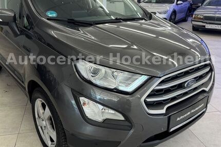Ford EcoSport 110.102 km 7.550 &euro; Hockenheim 68766