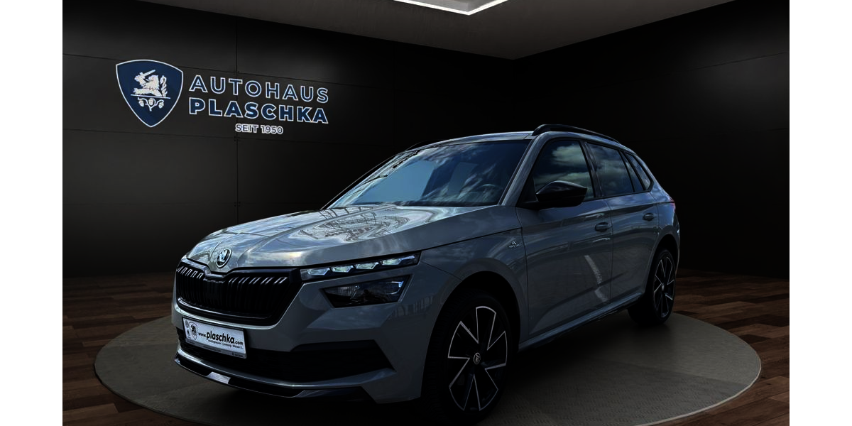 Skoda Kamiq 127.900 km 18.950 &euro; Winsen/Luhe 21423