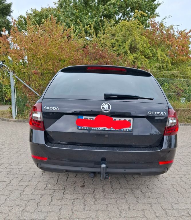 Skoda Octavia 146.000 km 14.900 € Jevenstedt 24808