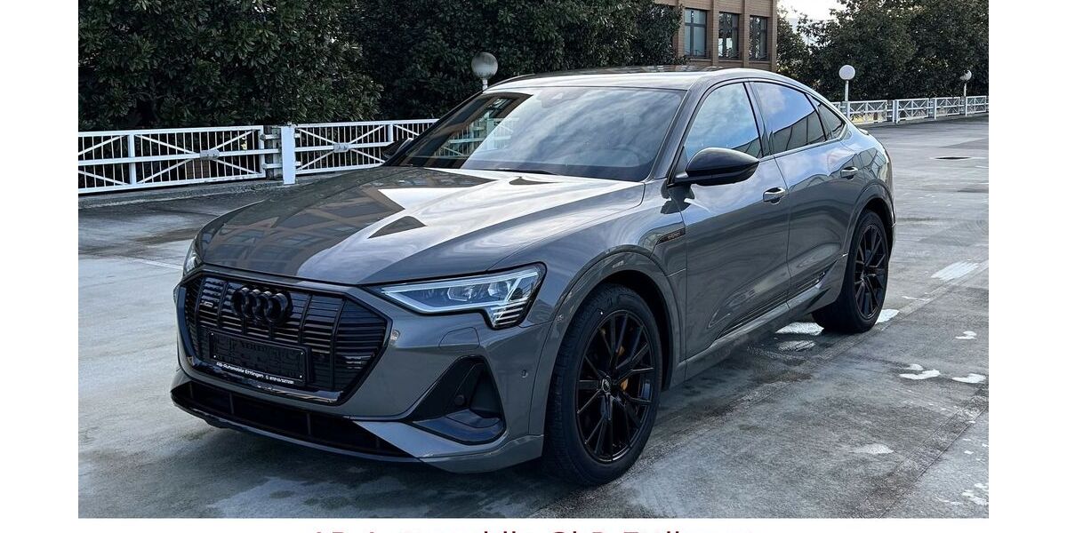 Audi e-tron 42.426 km 40.900 &euro; Ettlingen 76275