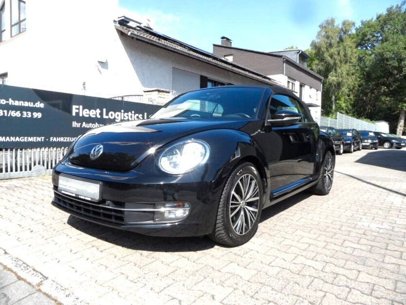 Beetle