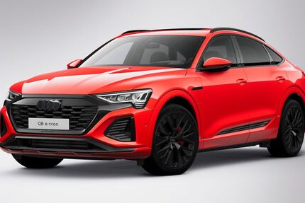 Audi Q8 e-tron 62.077 km 55.930 &euro; Hofheim 65719