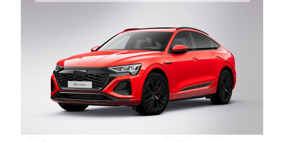 Audi Q8 e-tron 62.077 km 55.930 &euro; Hofheim 65719