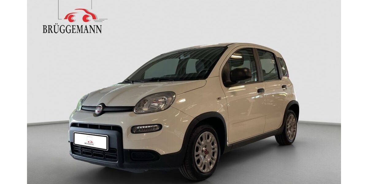 Fiat Panda 40.000 km 10.990 € Osnabrück 49078