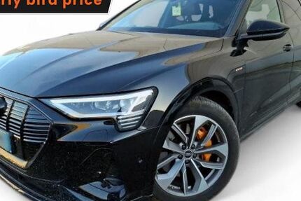 Audi e-tron 101.698 km 31.299 &euro; Ergolding 84030