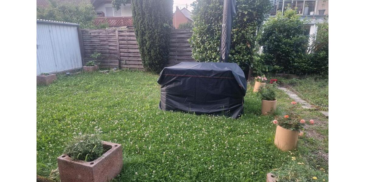 3 zimmer wohnung 3 zimmer