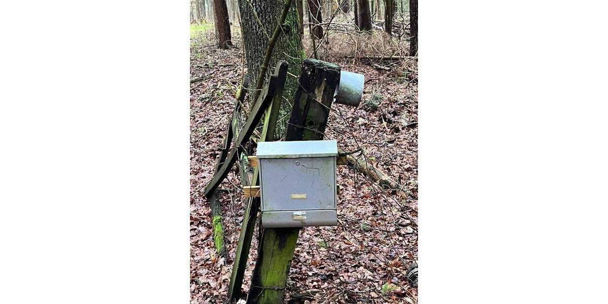 Grundstück Tostedt Todtglüsingen - 189.000&euro; | Angebot:26276462