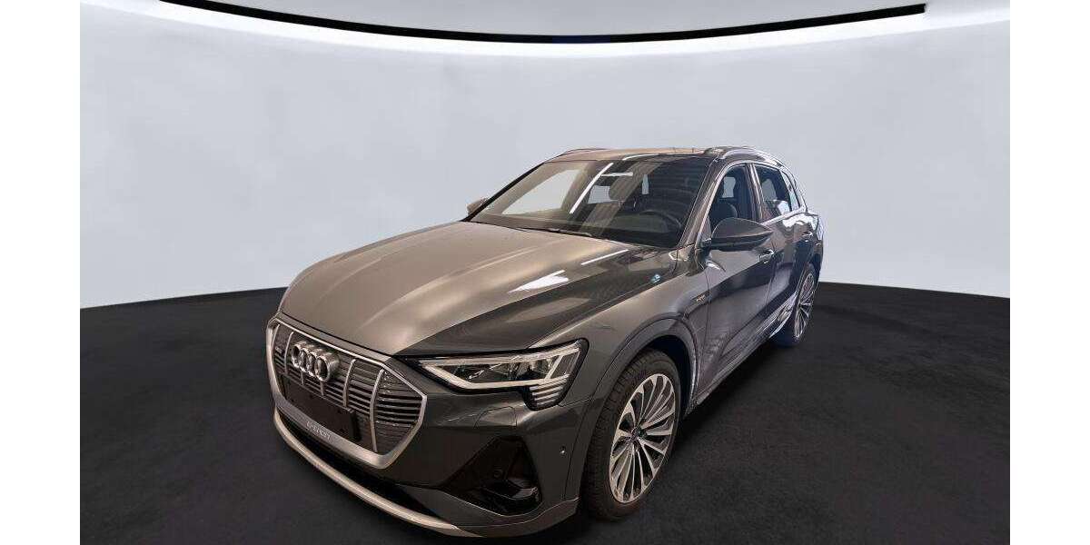 Audi e-tron 33.663 km 40.950 &euro; Hagen 58091