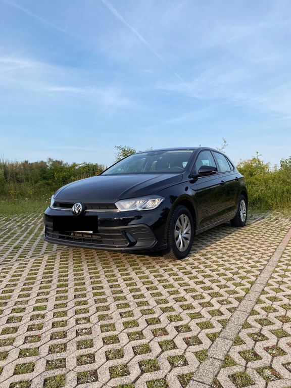 Polo