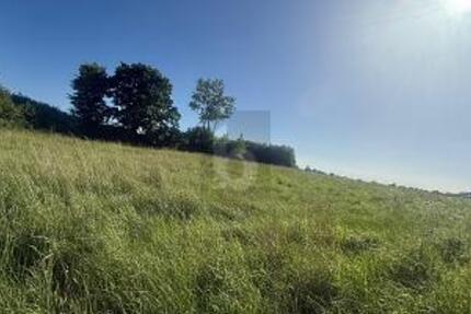 SONNIG, RUHIG & NATURNAH MIT AUSBLICK - Grundstück Riepsdorf | Angebot:27233869