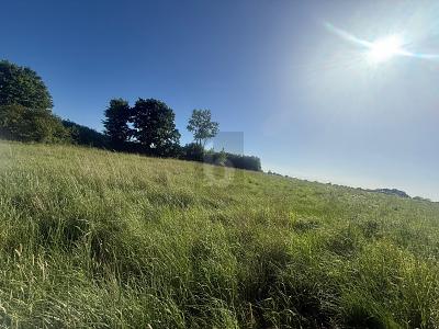 SONNIG, RUHIG & NATURNAH MIT AUSBLICK - Grundstück Riepsdorf | Angebot:27233869