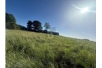 SONNIG, RUHIG & NATURNAH MIT AUSBLICK - Grundstück Riepsdorf | Angebot:27233869