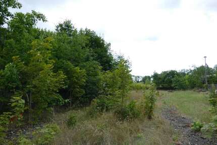 Grundstück Ludwigslust - 700.000&euro; | Angebot:25451669