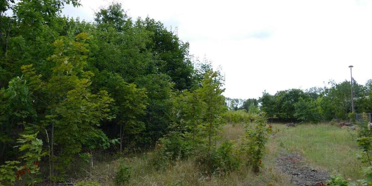 Grundstück Ludwigslust - 700.000&euro; | Angebot:25451669