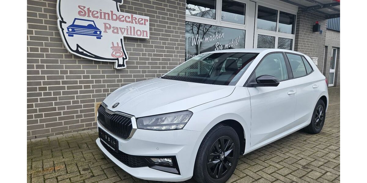 Skoda Fabia 17.332 km 17.490 &euro; Recke 49509