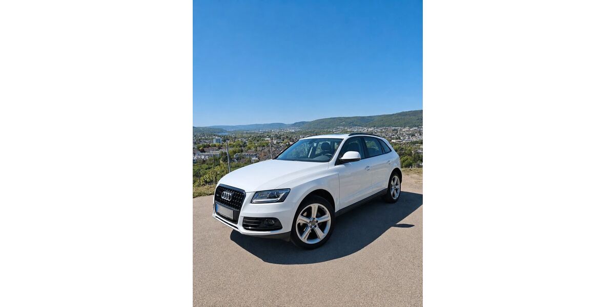 Audi Q5 124.979 km 18.900 &euro; Trier 54292