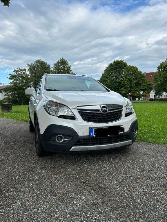 Mokka