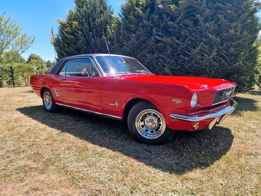 Mustang