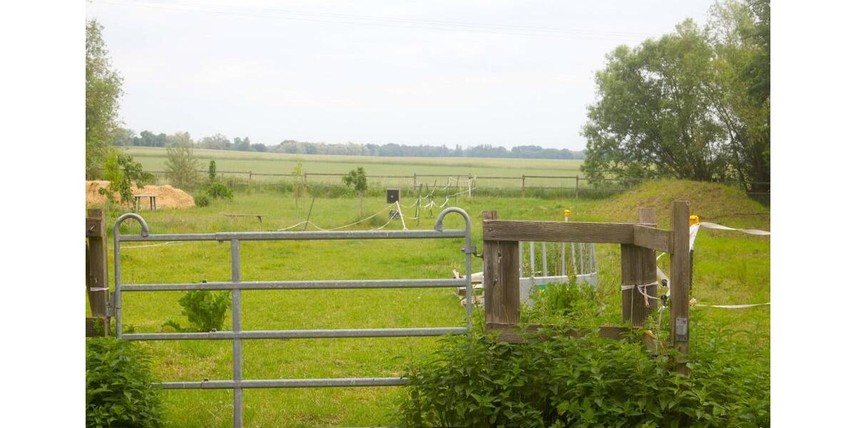 Hochparterre Löwenberger Land - 3 Zimmer, 68 m&sup2;, 68.000&euro; | Angebot:25843565