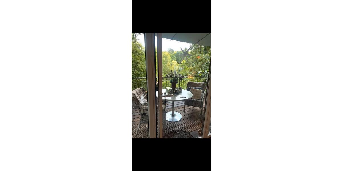 Erdgeschoßwohnung Wiesbaden Biebrich - 1 Zimmer, 100 m&sup2;, 1.110&euro; | Angebot:24953107