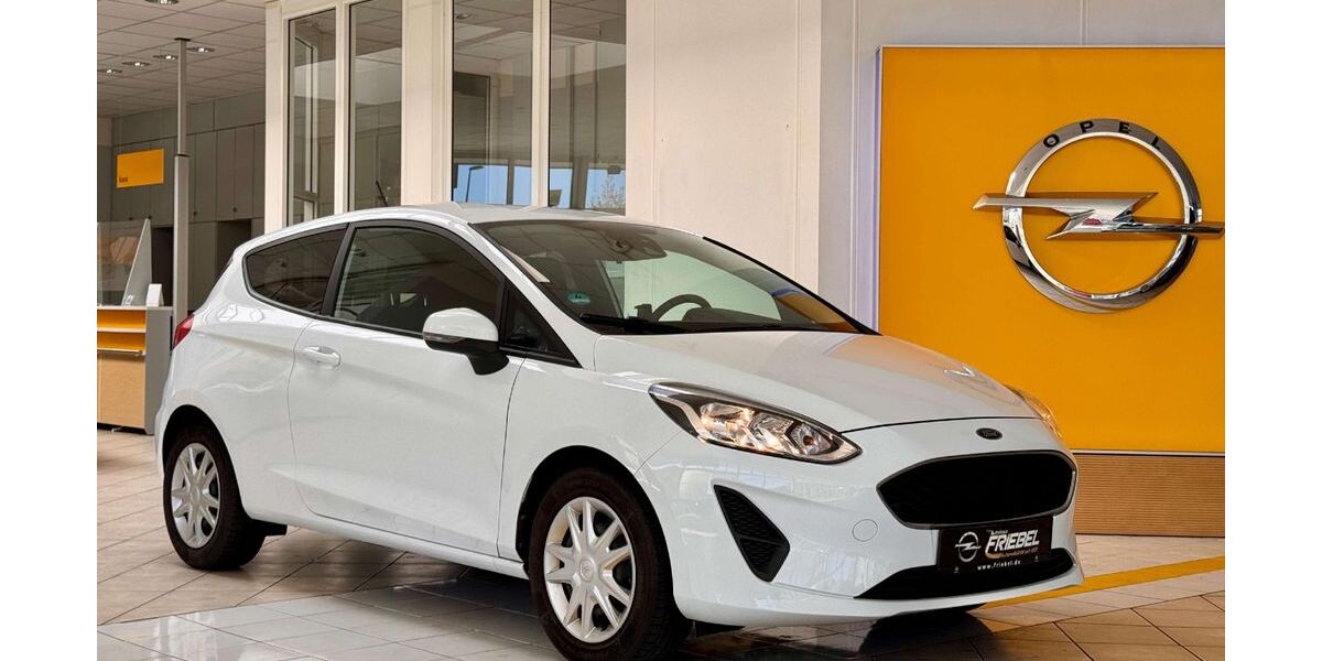 Ford Fiesta 98.661 km 6.990 &euro; Heidenau 01809