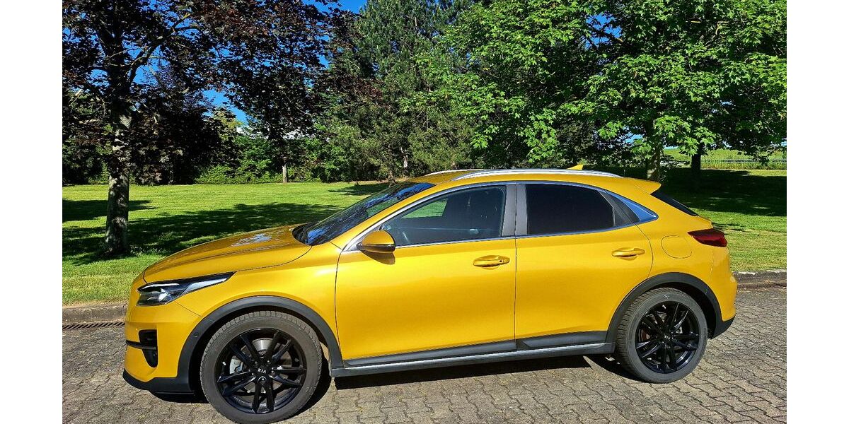 Kia XCeed 23.000 km 22.300 &euro; Zeitz 06711