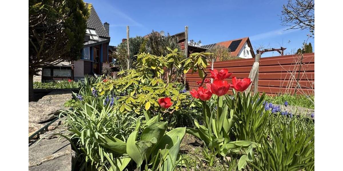 Einfamilienhaus Taucha Merkwitz - 5 Zimmer, 138 m&sup2;, 494.500&euro; | Angebot:26797935