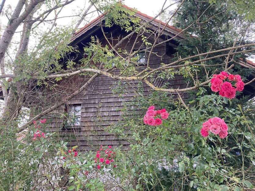 Haus zum Kaufen in Reischach-Arbing 492.800 € 200 m²