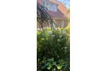 Bauernhaus, Landhaus Quelkhorn Quelkhorn - 1 Zimmer, 212 m&sup2;, 440.000&euro; | Angebot:26218204