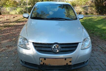 VW Fox