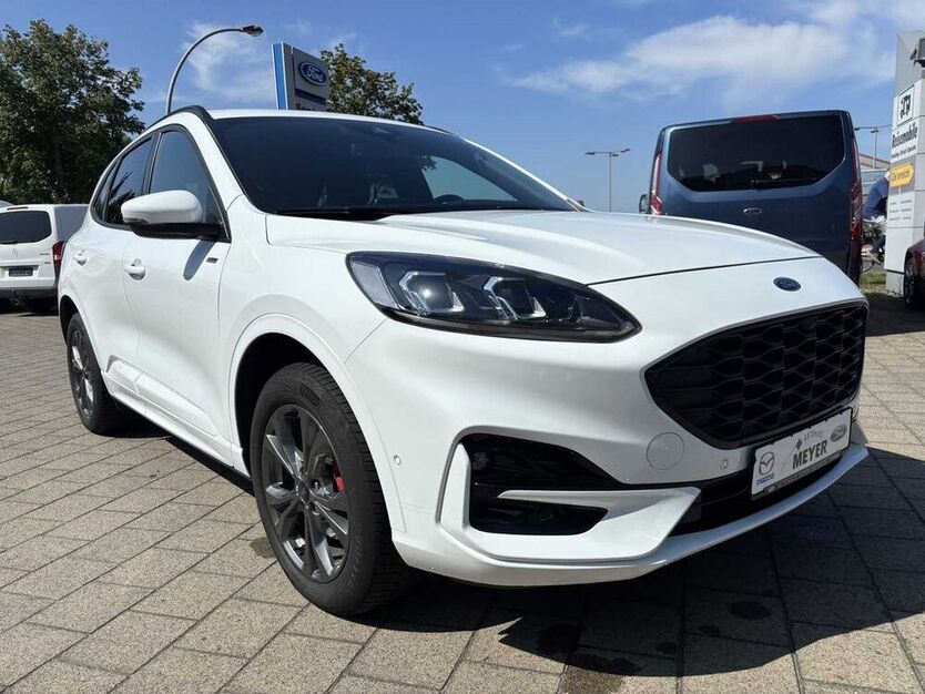 Kuga