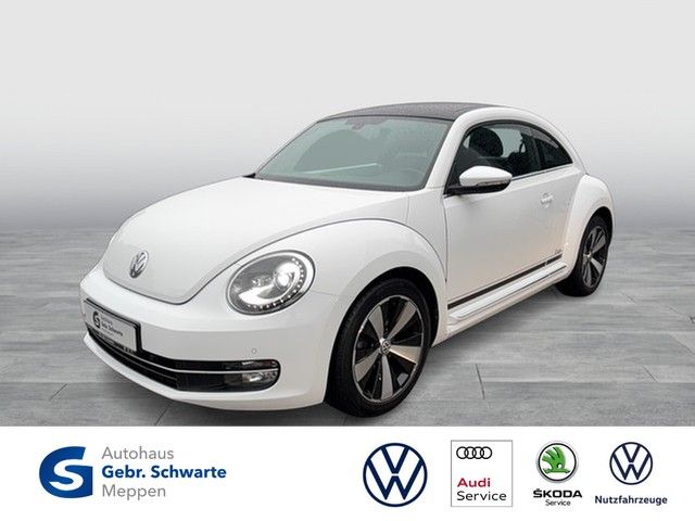 Beetle