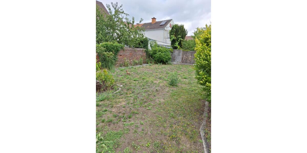 Mehrfamilienhaus, Wohnhaus Haßloch - 11 Zimmer, 321 m&sup2;, 478.000&euro; | Angebot:25843244