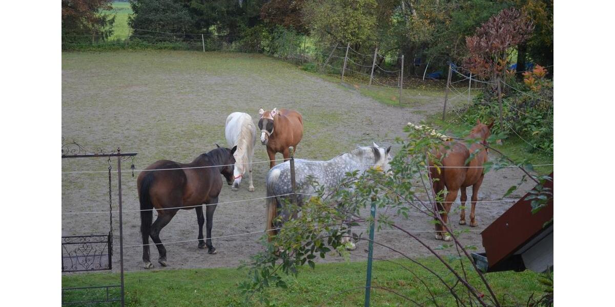 Einfamilienhaus Leutkirch im Allgäu - 1.100.000&euro; | Angebot:26569915