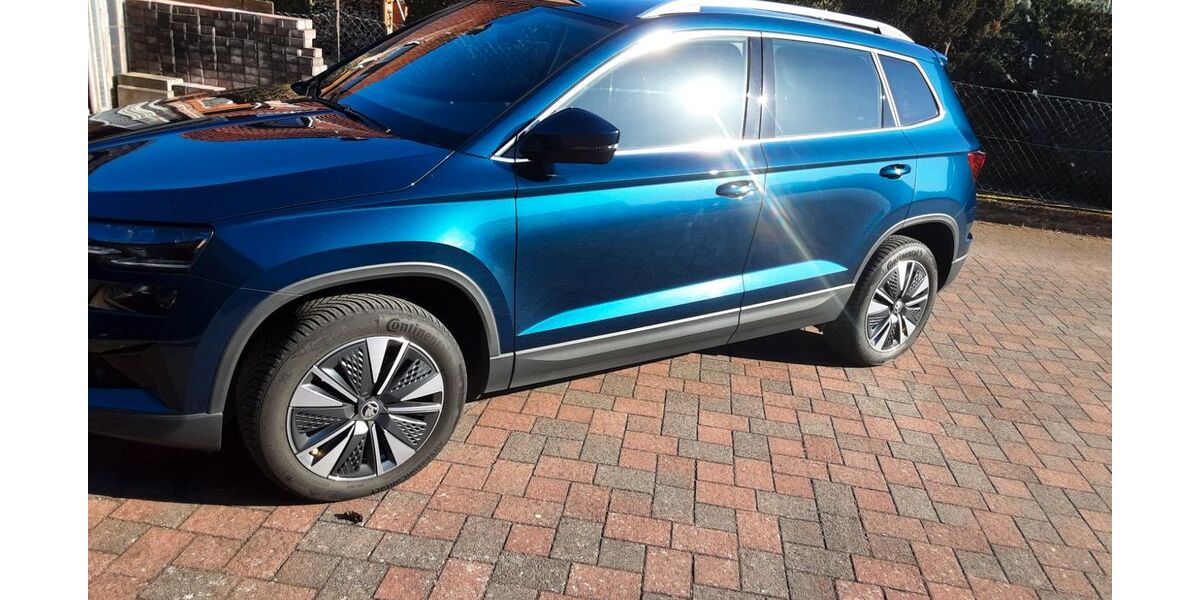 Skoda Karoq 45.500 km 27.500 &euro; Bleckede 21354