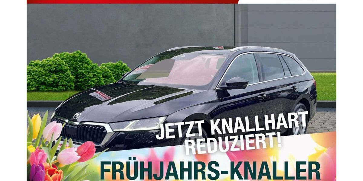 Skoda Octavia 106.970 km 21.420 &euro; Meiningen 98617