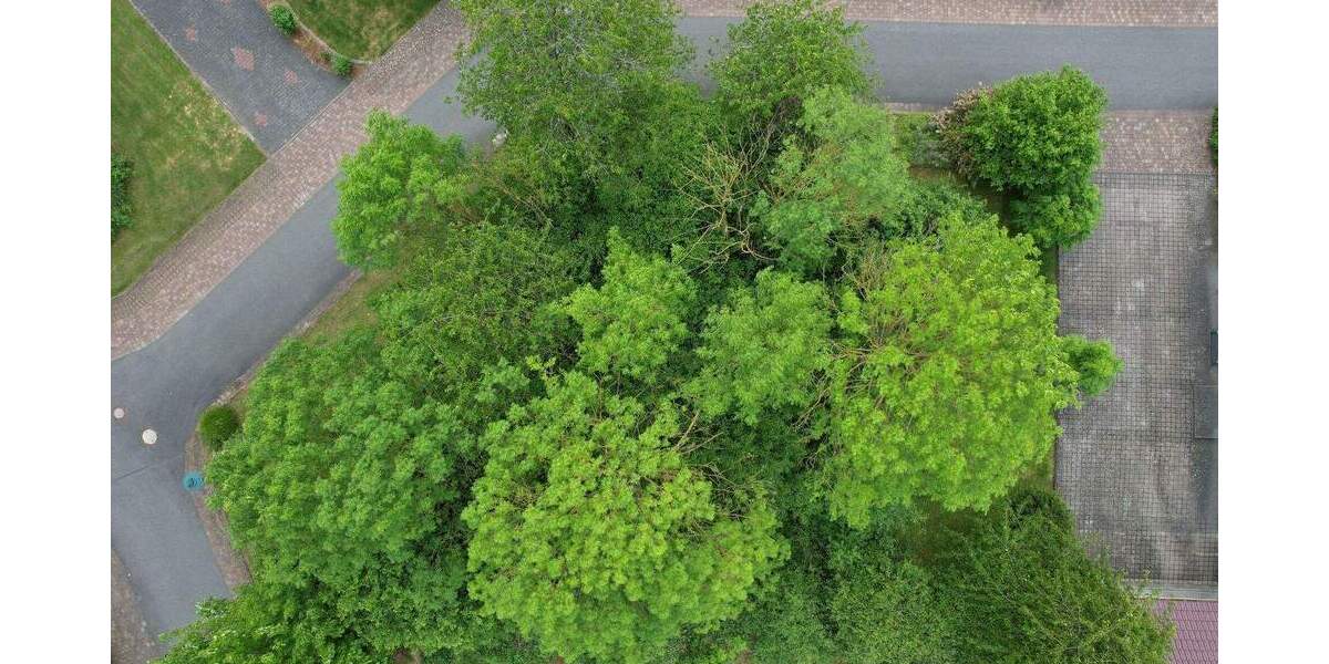 Grundstück Derental - 22.500&euro; | Angebot:25665639
