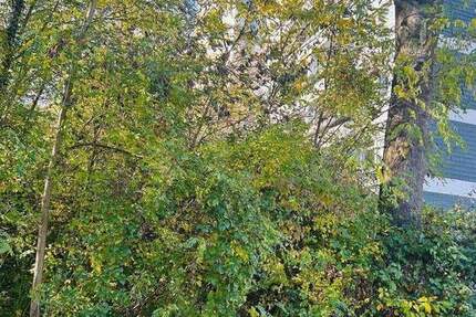 Über den Dächern von Bad Homburg ETW 3 Zimmer 3 zimmer